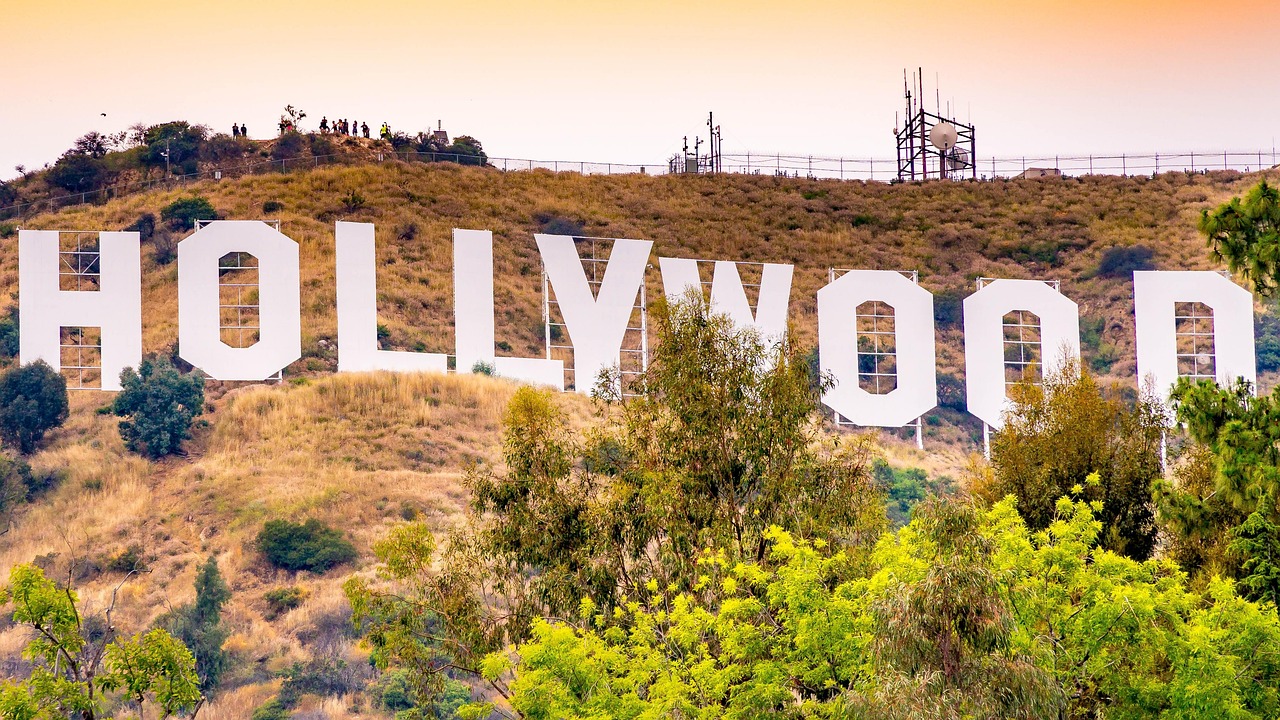 Guess and match - Hollywood Figure